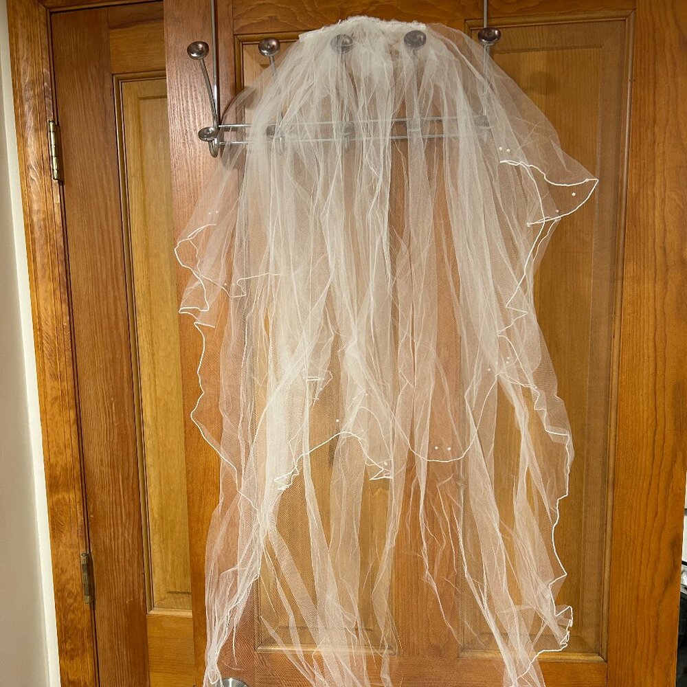 David's Bridal Wedding Bridal White Beaded Veil